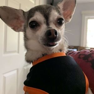 Meet your Posher, Zaith